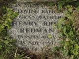 image of grave number 950615